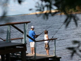 Currimundi Lake (Kathleen McArthur) Conservation Park - Accommodation Mount Tamborine 0