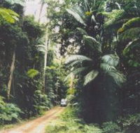 Conondale Great Walk - Accommodation Mount Tamborine
