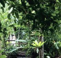 Flecker Botanic Gardens - Accommodation Mount Tamborine