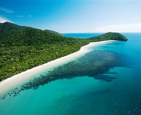 Cape Tribulation, Daintree National Park - Accommodation Mount Tamborine 0