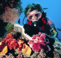 Osprey Reef - Accommodation Mount Tamborine