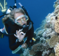 Moore Reef Dive Site - Accommodation Mount Tamborine