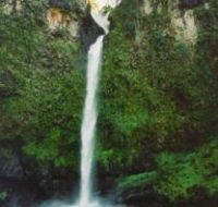Nandroya Falls Circuit Track Wooroonooran National Park - Accommodation Mount Tamborine