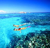 Northern Great Barrier Reef - Accommodation Mount Tamborine