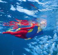 Great Detached Reef Dive Site - Accommodation Mount Tamborine