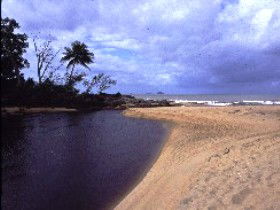 Russell River National Park - Accommodation Mount Tamborine 0