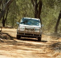 Ward River 4x4 Stock Route Trail - Accommodation Mount Tamborine