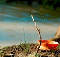 Charleville - Mangalore Warrego River Fishing Spot - Accommodation Mount Tamborine