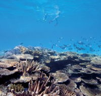 Australian Institute of Marine Science - Accommodation Mount Tamborine