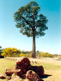  Accommodation Mount Tamborine