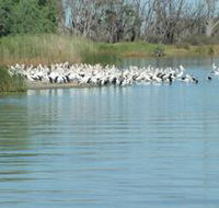 Lake Ross - Accommodation Mount Tamborine