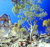 Mount Moffatt Section - Carnarvon National Park - Accommodation Mount Tamborine