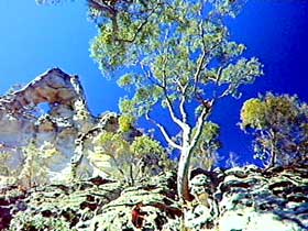 Mount Moffatt Section - Carnarvon National Park - Accommodation Mount Tamborine 0