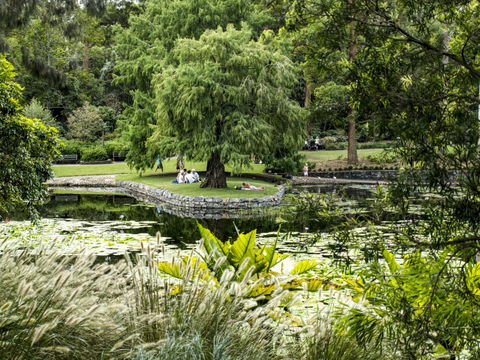 Brisbane Botanic Gardens Mount Coot-tha - Accommodation Mount Tamborine 1
