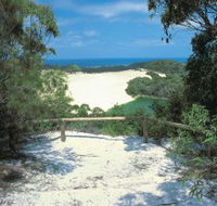 Lake Wabby Track - Accommodation Mount Tamborine