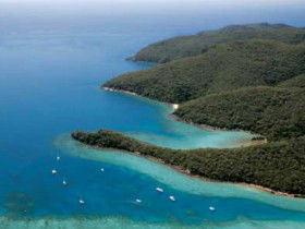 Hook Island QLD Accommodation Mount Tamborine