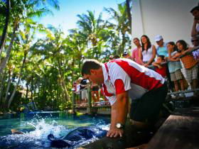 Daydream Island QLD Accommodation Mount Tamborine