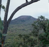Mount Fox - Accommodation Mount Tamborine