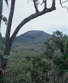 Mount Fox - Accommodation Mount Tamborine 0