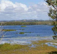 Lake Barfield - Accommodation Mount Tamborine