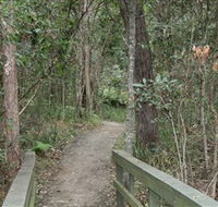 Springwood Conservation Park - Accommodation Mount Tamborine