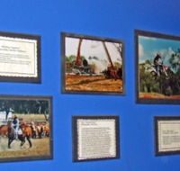 Town Hall Photographic Display - Accommodation Mount Tamborine