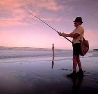 The Serenity Coast - Accommodation Mount Tamborine