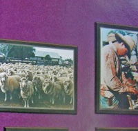 Charleville Photographic Display - Accommodation Mount Tamborine