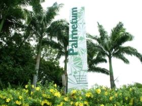 Townsville Palmetum - Accommodation Mount Tamborine 0