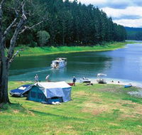 Danbulla National Park and Danbulla State Forest - Accommodation Mount Tamborine