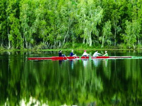 Rowes Bay QLD Accommodation Mount Tamborine