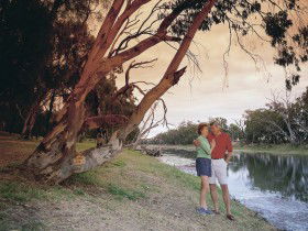 Outback Queensland QLD Accommodation Mount Tamborine