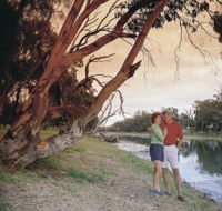 The Looking Glass - Accommodation Mount Tamborine