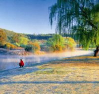 Quart Pot Creek - Accommodation Mount Tamborine