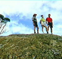 Coongarra Rock - Accommodation Mount Tamborine