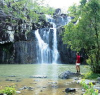 Conway National Park - Accommodation Mount Tamborine