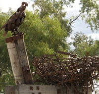 Blackall Sculpture Trail - Accommodation Mount Tamborine