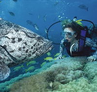 Pelorus Island - Accommodation Mount Tamborine