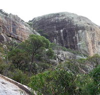 Mount Walsh National Park - Accommodation Mount Tamborine