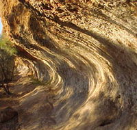 Wave Rock Trail - Accommodation Mount Tamborine