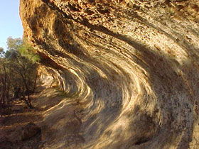Wave Rock Trail - Accommodation Mount Tamborine 0