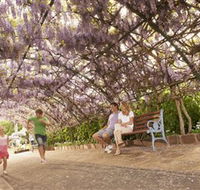 Laurel Bank Park - Accommodation Mount Tamborine