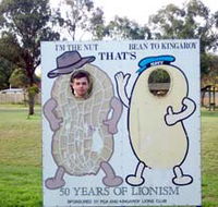 Kingaroy Lions Park - Accommodation Mount Tamborine