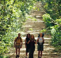 Wet Tropics Great Walk - Accommodation Mount Tamborine