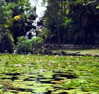 Queens Park Waterfall - Accommodation Mount Tamborine