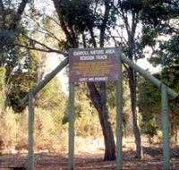 Carroll Nature Reserve Kokoda Track - Accommodation Mount Tamborine