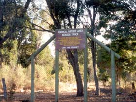 Carroll Nature Reserve Kokoda Track - Accommodation Mount Tamborine 0