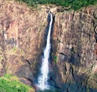 Buujan Quiinbiira Walk Wet Tropics Great Walk - Accommodation Mount Tamborine