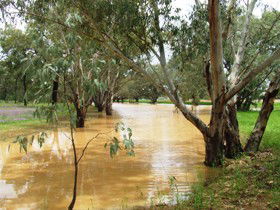 Saddliers Waterhole And Hamburg Creek - Accommodation Mount Tamborine 0