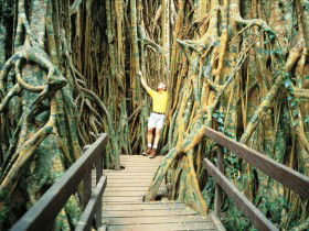 Yungaburra QLD Accommodation Mount Tamborine
